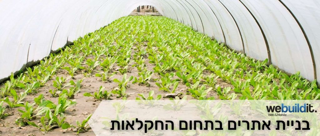 בניית אתרים בתחום החקלאות